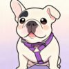 Custom kawaii cartoon pet portrait of a French Bulldog in pastel colors.