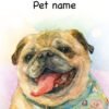 Custom watercolor pet portrait with name of a Pug